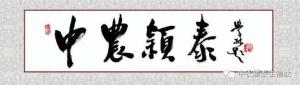 喜訊快遞 | 中農(nóng)穎泰成功入選河南省優(yōu)質(zhì)企業(yè)備投項目庫